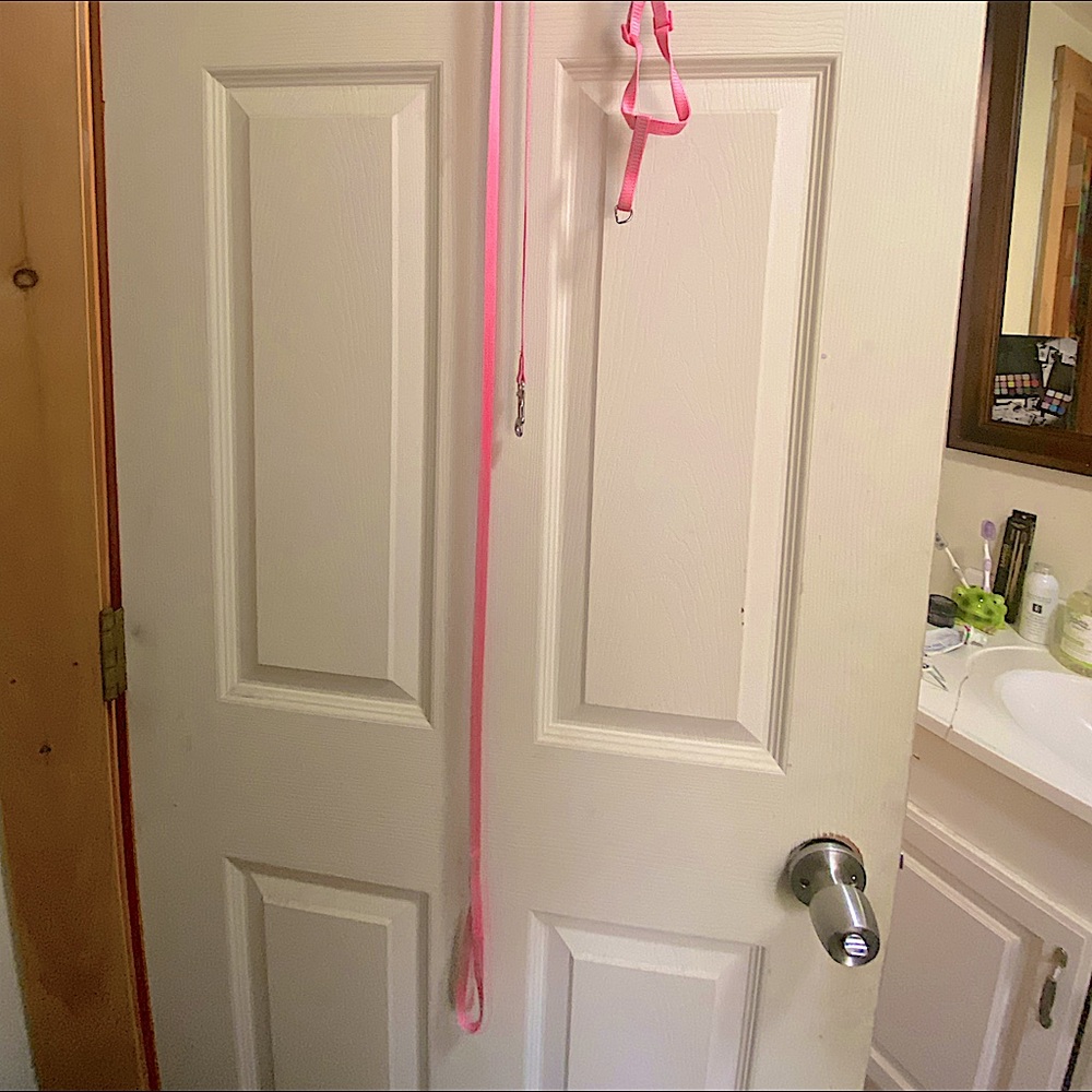 NEW but no tags, Kitten Harness & Lead (leash) - Light Pink